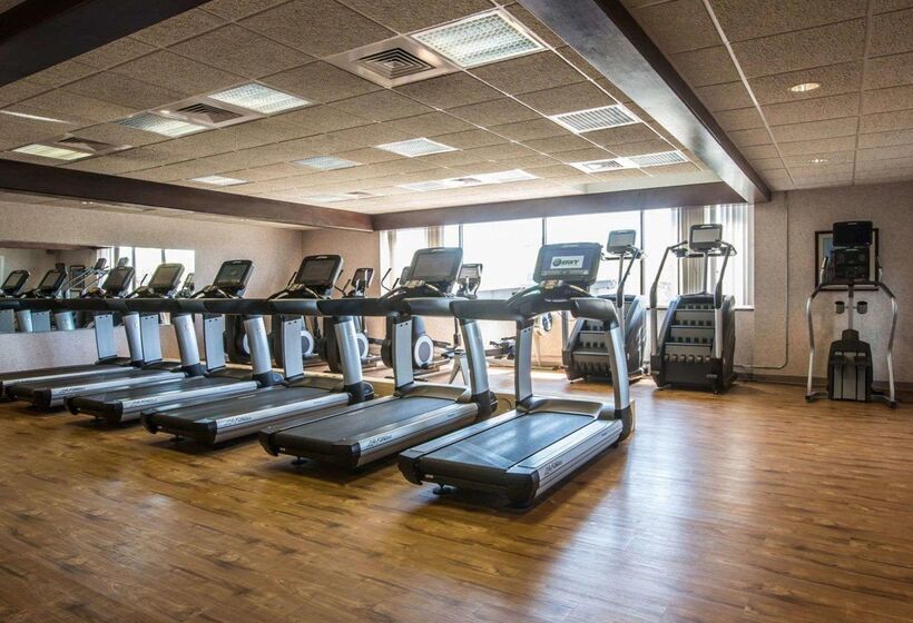 فندق Comfort Inn Airport