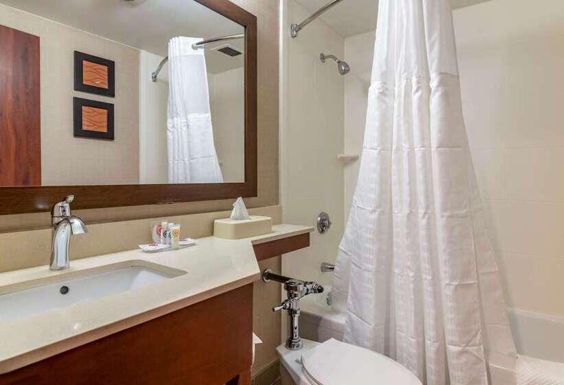 فندق Comfort Inn Airport