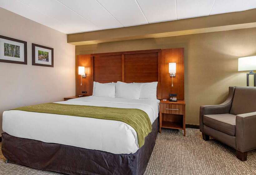 فندق Comfort Inn Airport