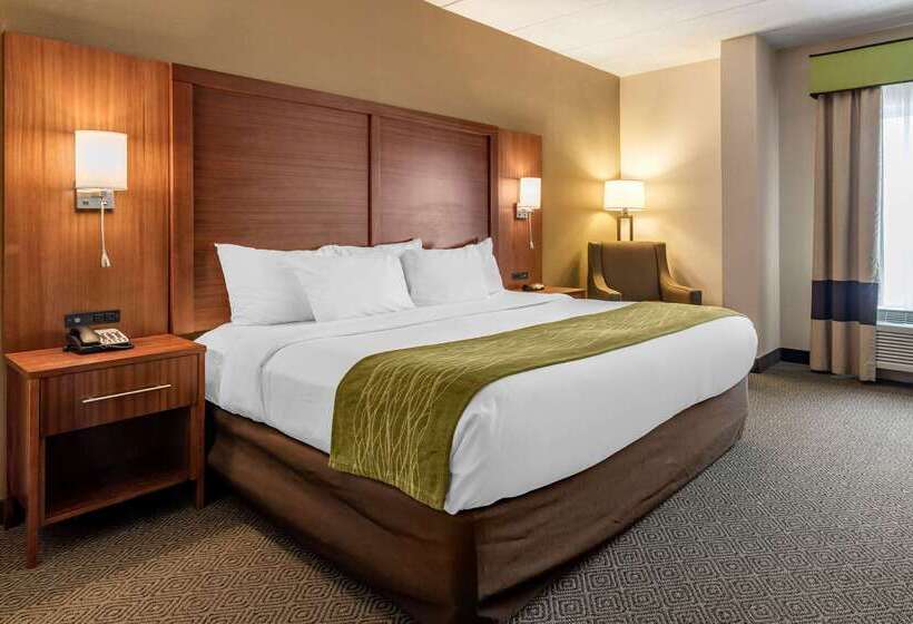 فندق Comfort Inn Airport