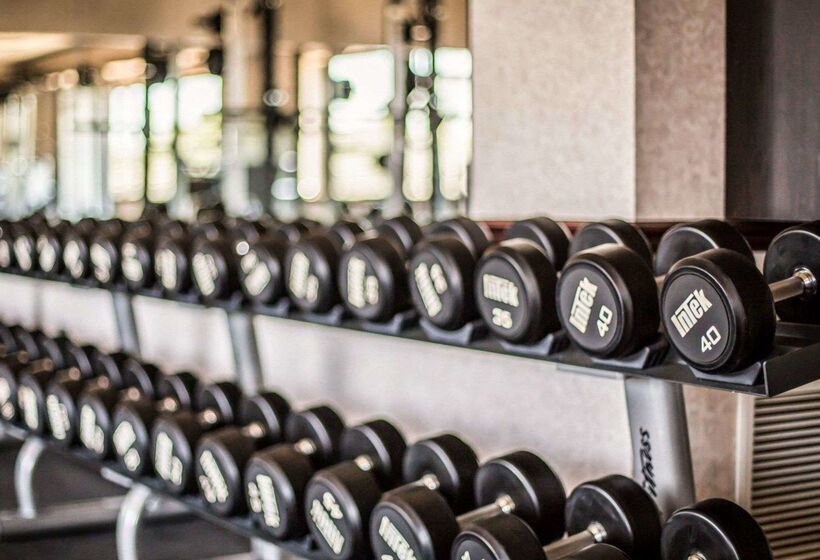 فندق Comfort Inn Airport