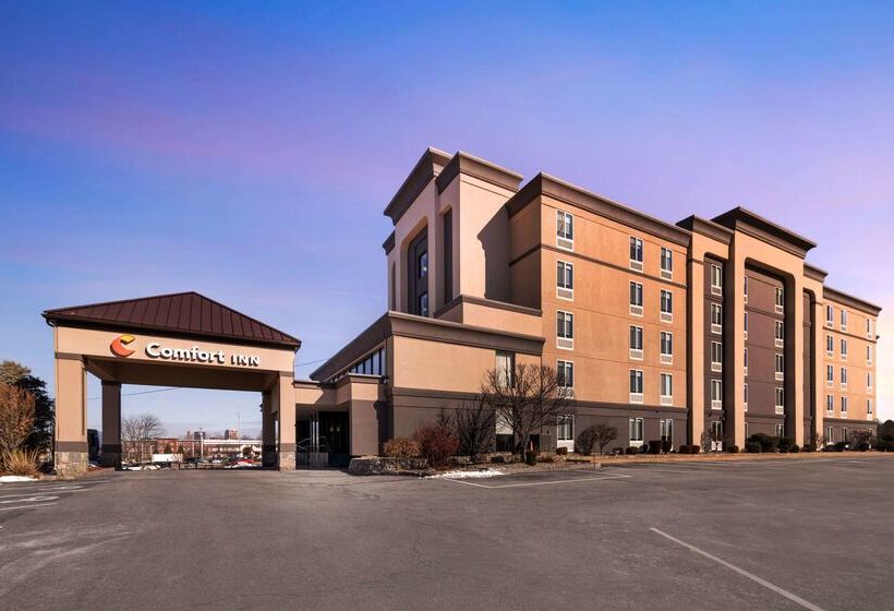 فندق Comfort Inn Airport