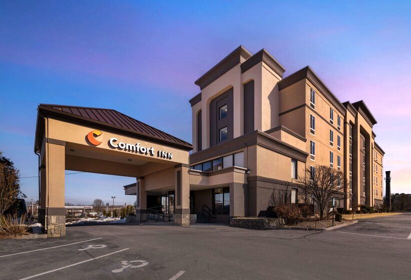 فندق Comfort Inn Airport