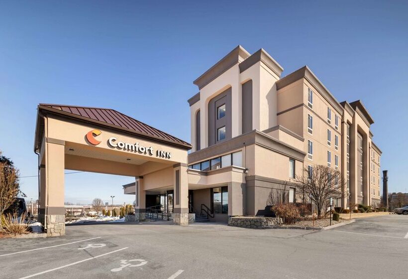 فندق Comfort Inn Airport
