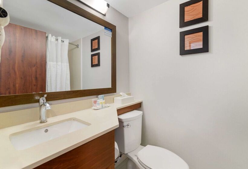 فندق Comfort Inn Airport