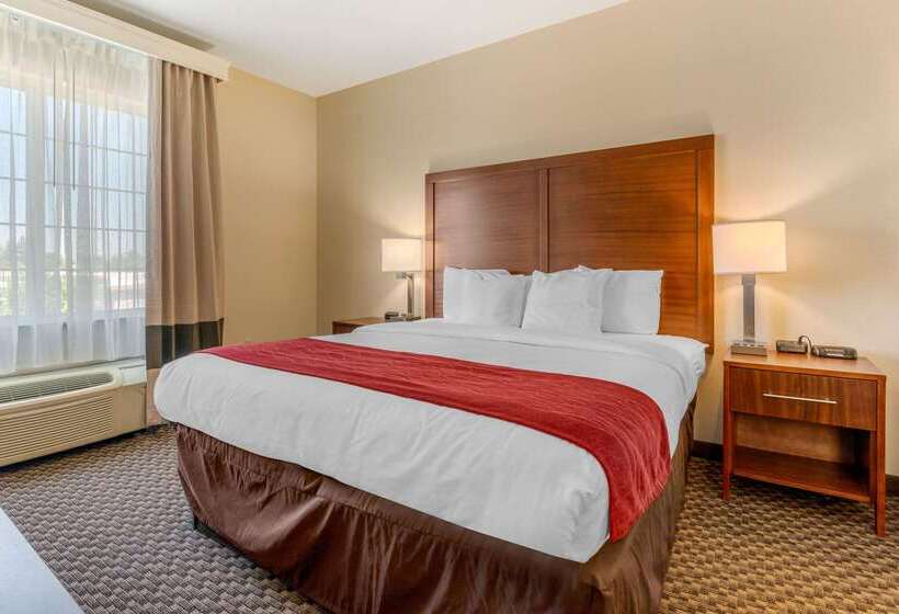 호텔 Comfort Inn & Suites Galt   Lodi North
