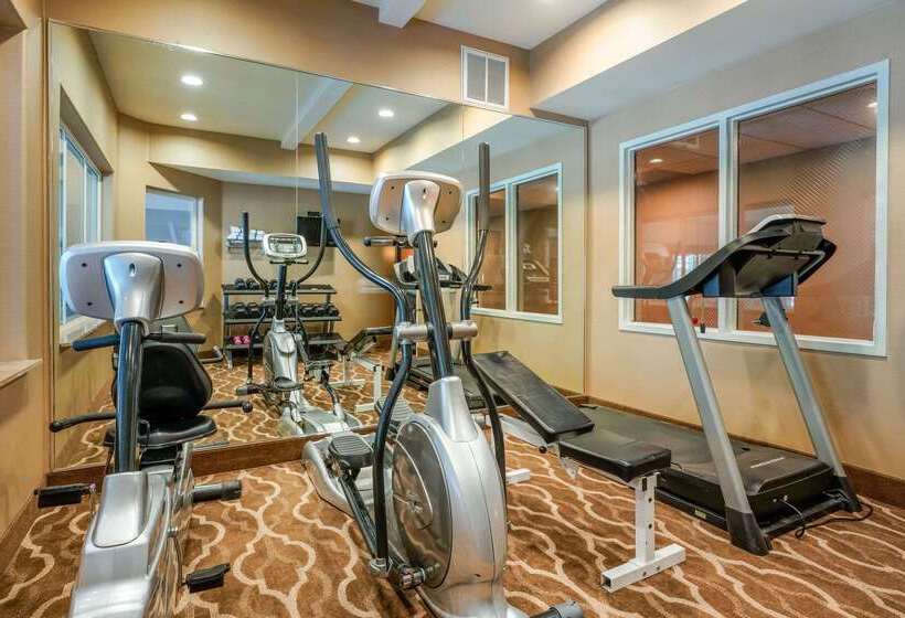 호텔 Comfort Inn & Suites Galt   Lodi North