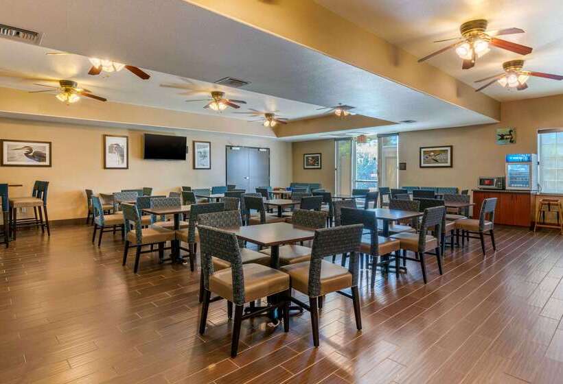 호텔 Comfort Inn & Suites Galt   Lodi North