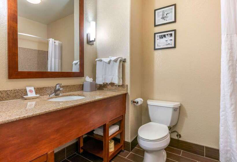 호텔 Comfort Inn & Suites Galt   Lodi North