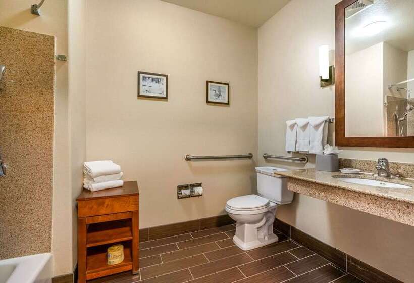 호텔 Comfort Inn & Suites Galt   Lodi North