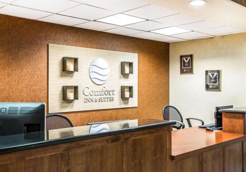 호텔 Comfort Inn & Suites Galt   Lodi North