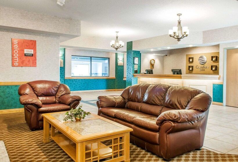 فندق Comfort Inn