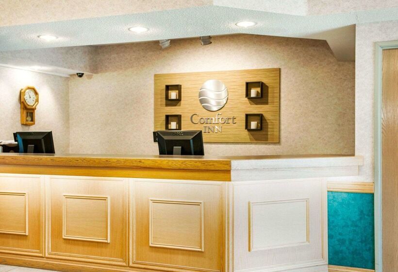فندق Comfort Inn