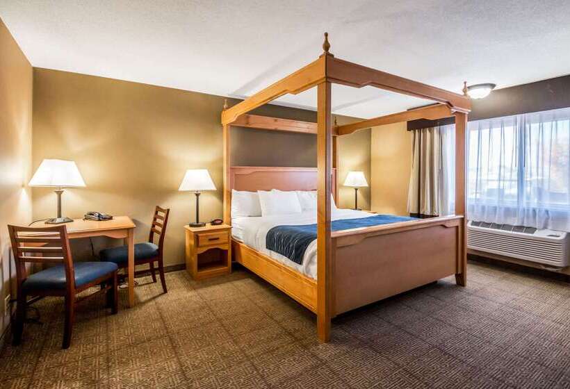 בית מלון כפרי Comfort Inn Green River National Park Area