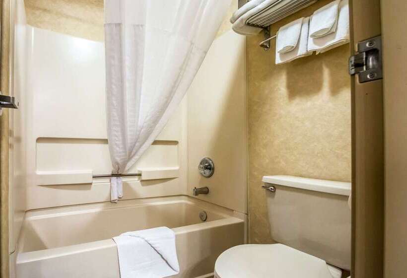 בית מלון כפרי Comfort Inn Green River National Park Area