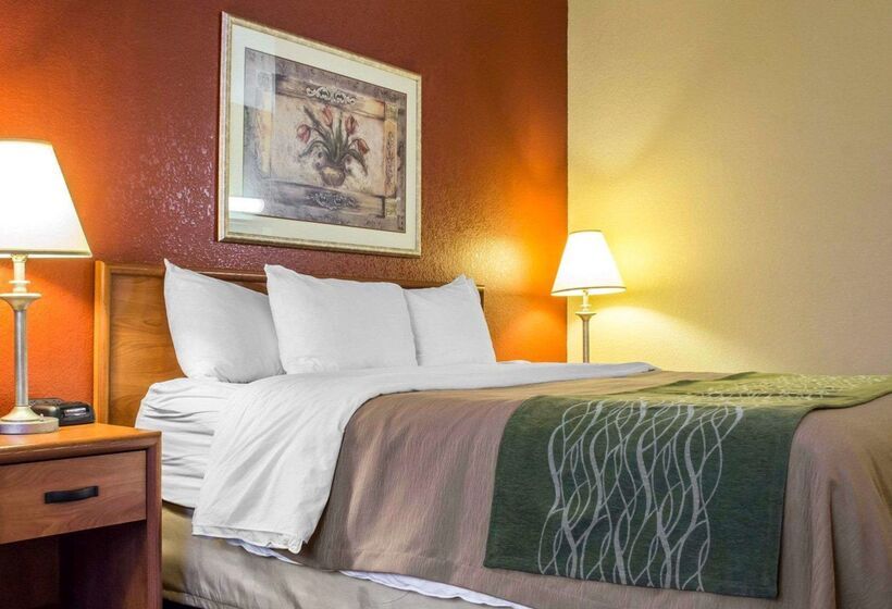 בית מלון כפרי Comfort Inn Green Valley I 19