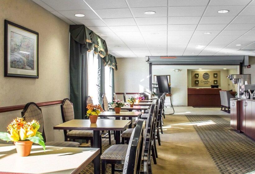 בית מלון כפרי Comfort Inn Green Valley I 19