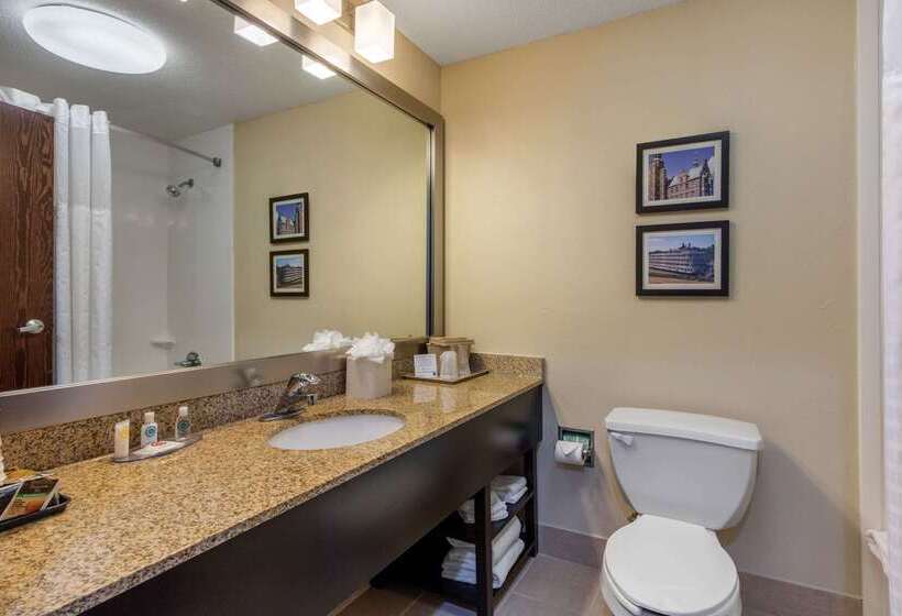 호텔 Comfort Inn Horn Lake   Southaven