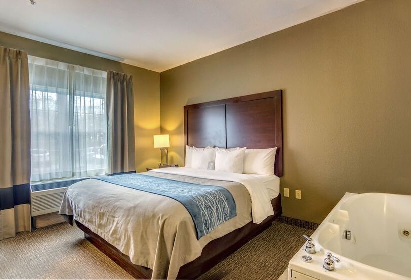 فندق Comfort Inn & Suites Graftoncedarburg