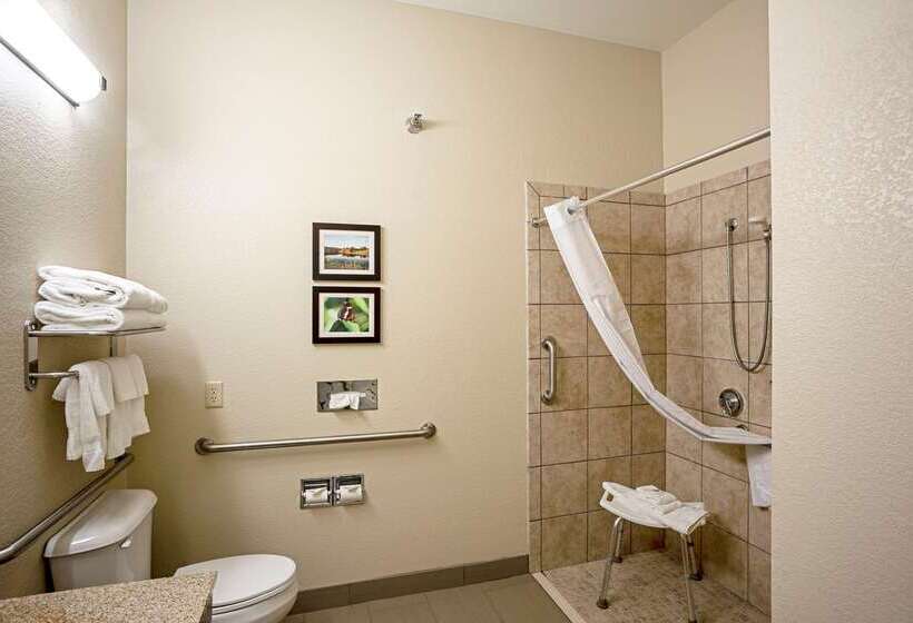 호텔 Comfort Inn & Suites Independence