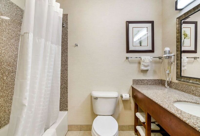 فندق Comfort Inn & Suites Near Bethel College