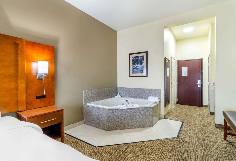 فندق Comfort Inn & Suites Near Bethel College