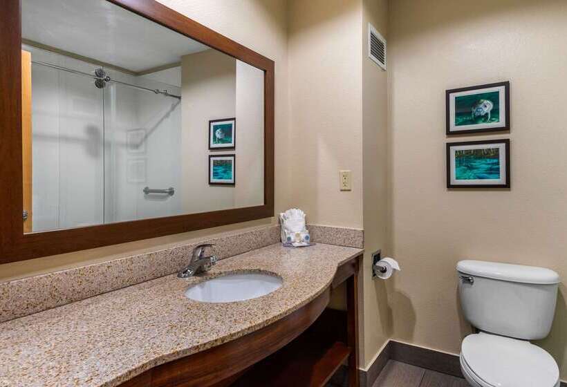 Отель Comfort Inn & Suites Wildwood  The Villages
