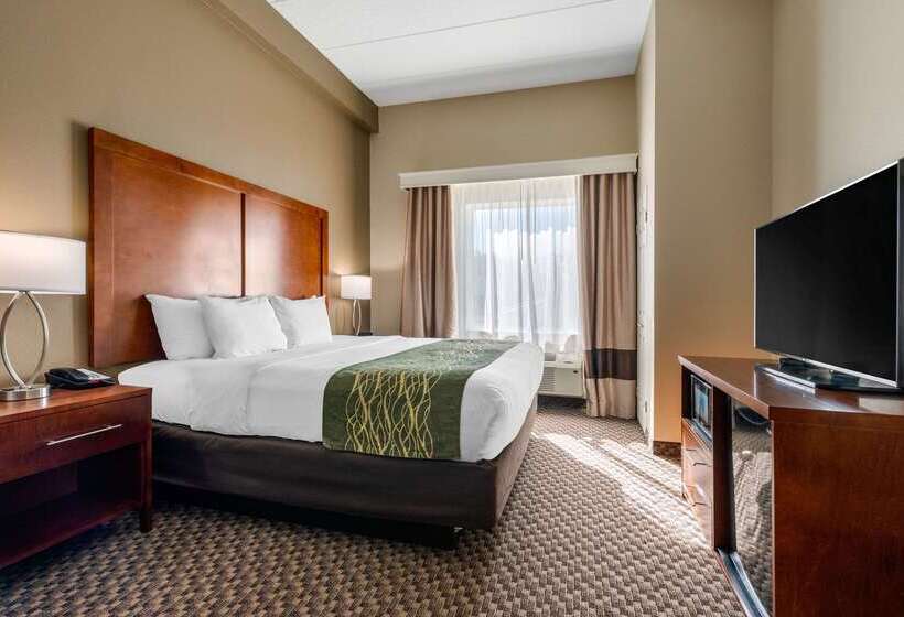 Отель Comfort Inn & Suites Wildwood  The Villages