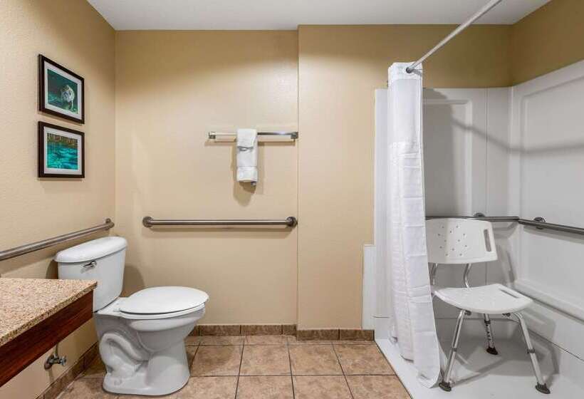 בית מלון כפרי Comfort Inn & Suites Wildwood  The Villages