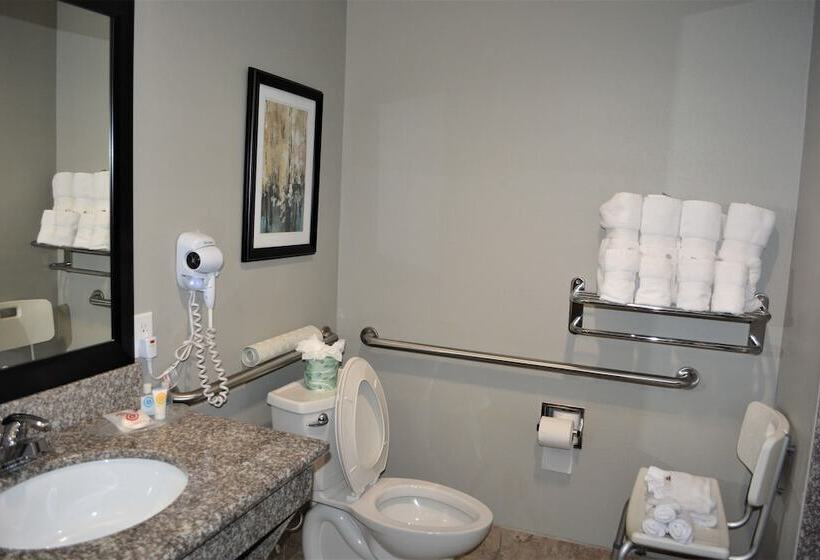 ホテル Comfort Suites At Katy Mills