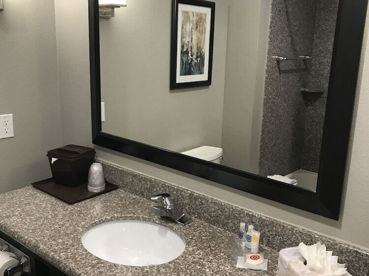 ホテル Comfort Suites At Katy Mills