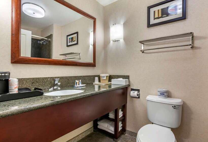 فندق Comfort Suites Fernley