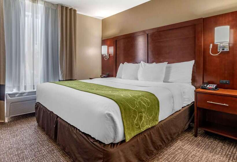 فندق Comfort Suites Fernley