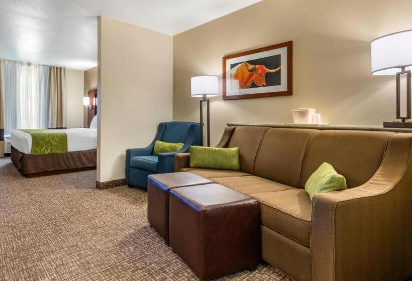 فندق Comfort Suites Fernley