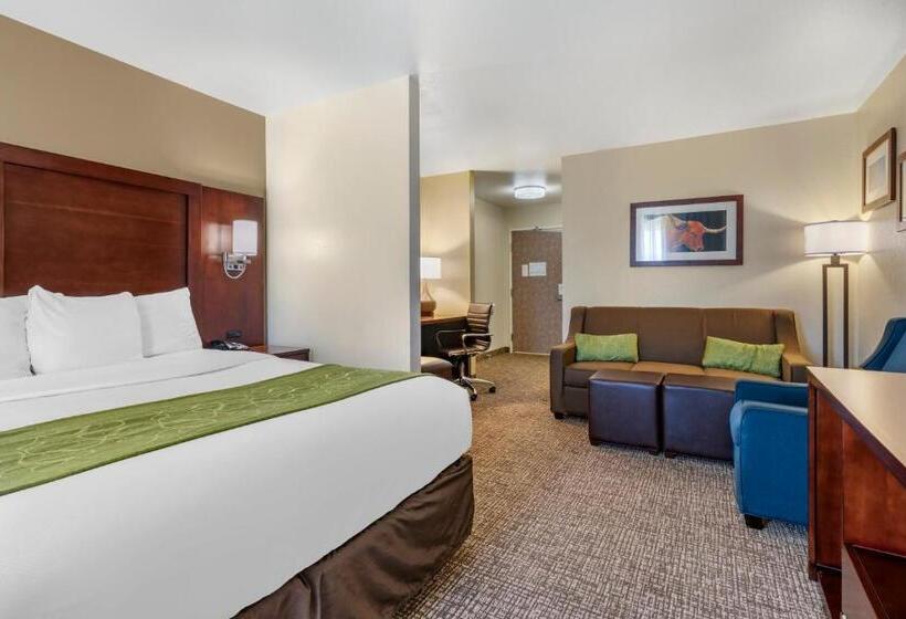 فندق Comfort Suites Fernley