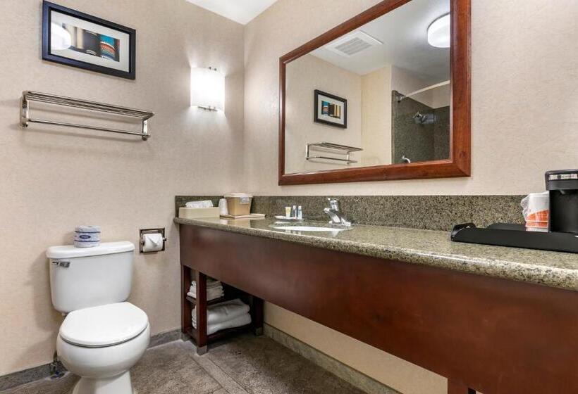 فندق Comfort Suites Fernley