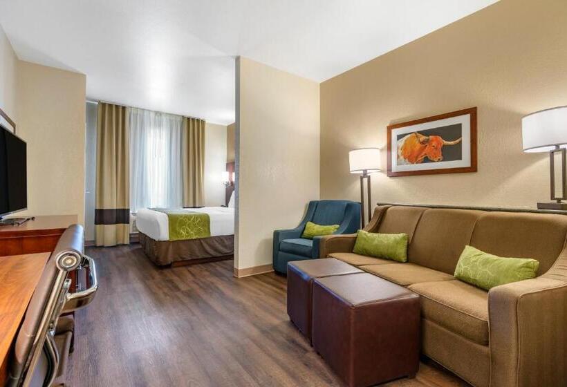 فندق Comfort Suites Fernley