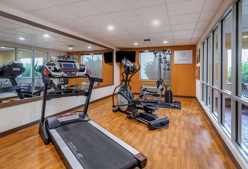 בית מלון כפרי Comfort Suites Florence Shoals Area