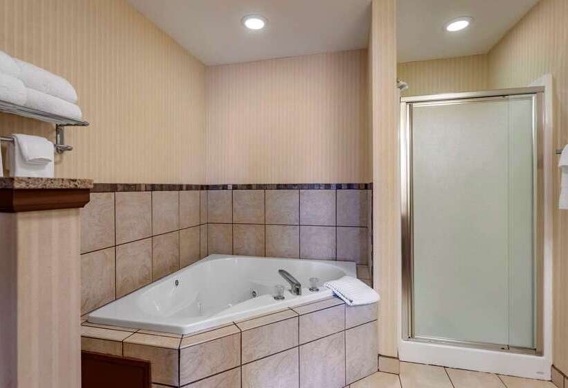 فندق Comfort Suites Florence Shoals Area