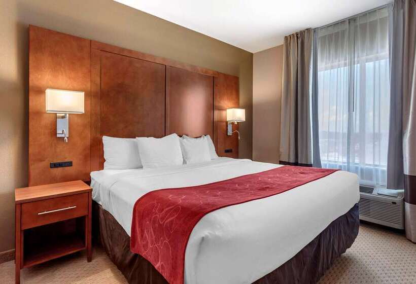 בית מלון כפרי Comfort Suites Florence Shoals Area