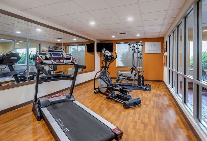 בית מלון כפרי Comfort Suites Florence Shoals Area