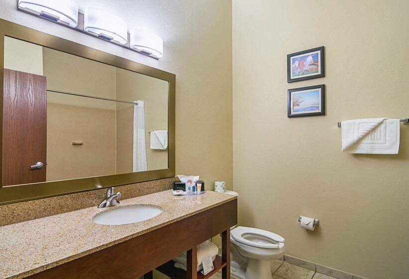 בית מלון כפרי Comfort Suites Grayslake Near Libertyville North