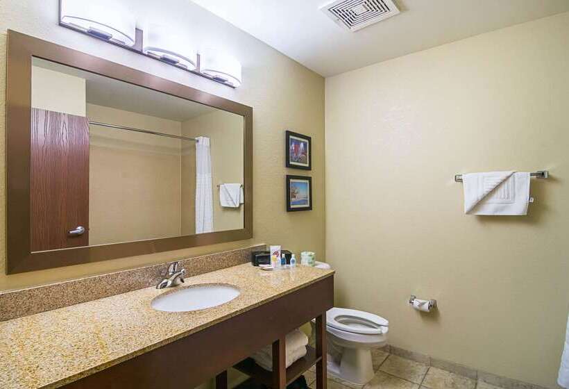 בית מלון כפרי Comfort Suites Grayslake Near Libertyville North