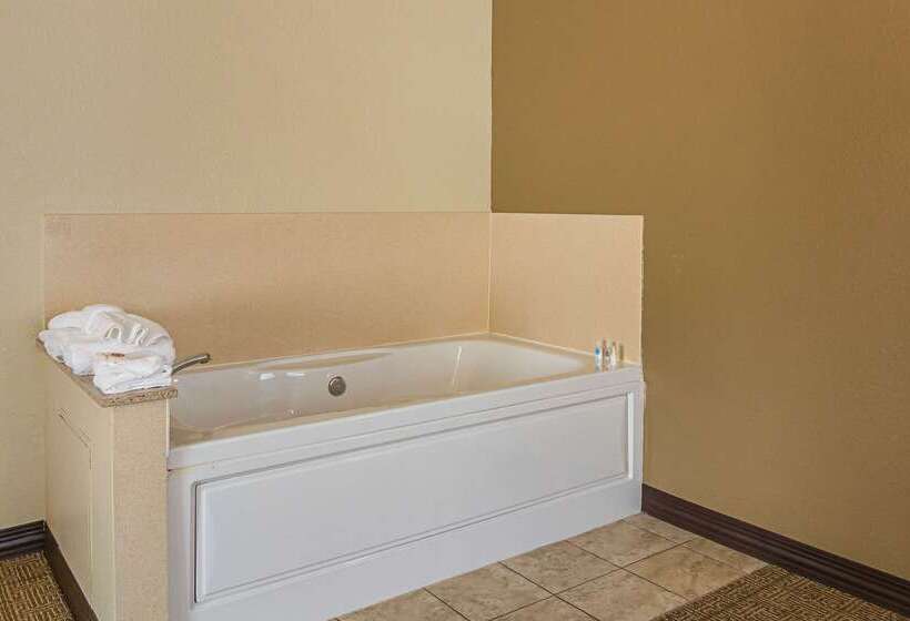 فندق Comfort Suites Grayslake Near Libertyville North