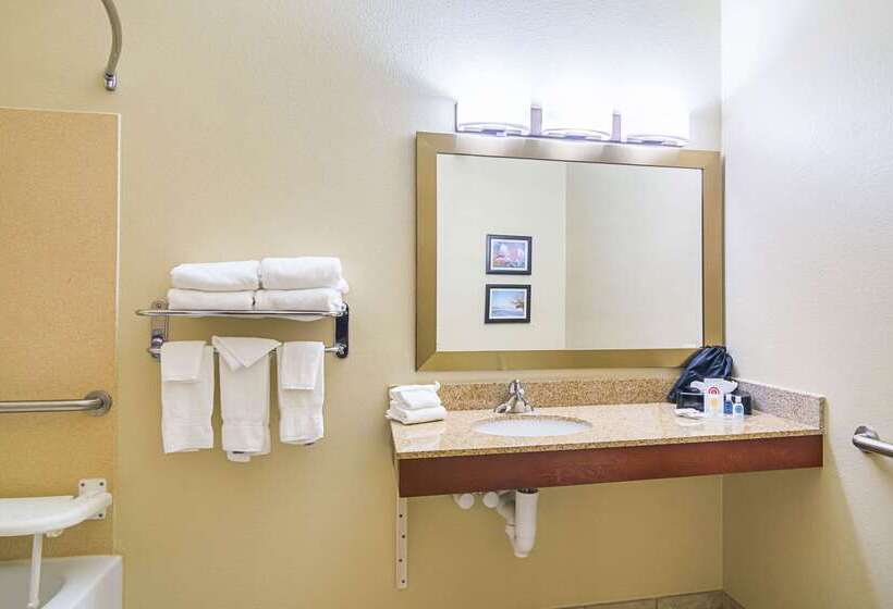 בית מלון כפרי Comfort Suites Grayslake Near Libertyville North