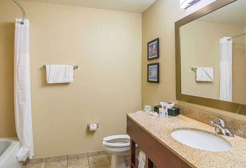 فندق Comfort Suites Grayslake Near Libertyville North