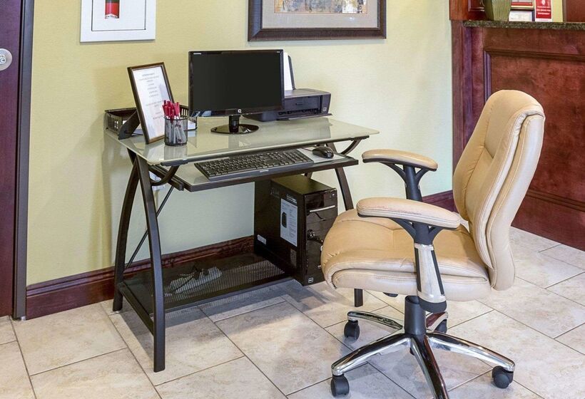 בית מלון כפרי Comfort Suites Harvey   New Orleans West