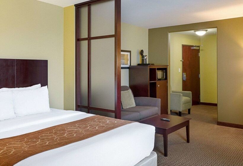 בית מלון כפרי Comfort Suites Harvey   New Orleans West