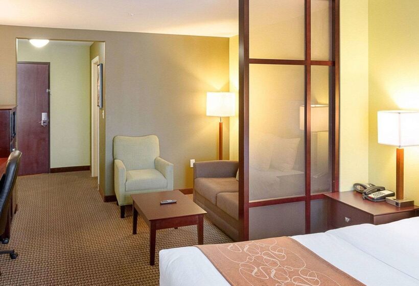 בית מלון כפרי Comfort Suites Harvey   New Orleans West