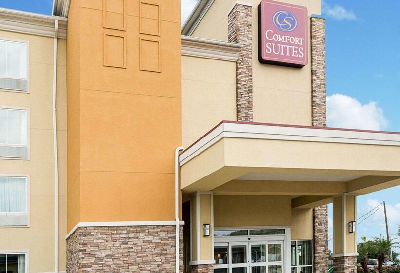 בית מלון כפרי Comfort Suites Harvey   New Orleans West